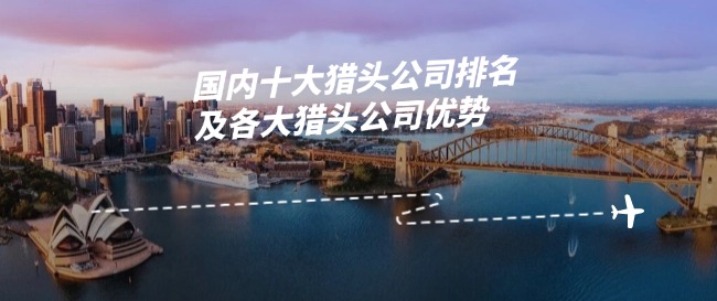 國內十大獵頭公司排名及各大獵頭公司優(yōu)勢.jpg